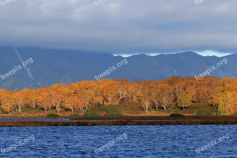 Autumn Lake Forest Tundra Swamp