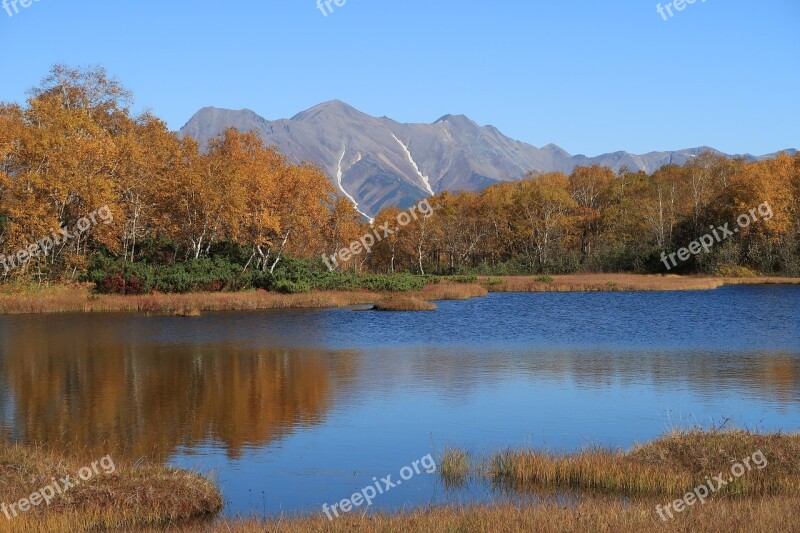 Autumn Lake Forest Tundra Swamp