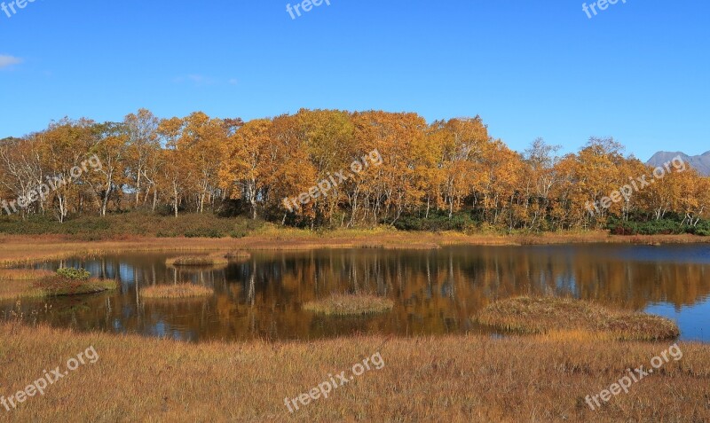 Autumn Lake Forest Tundra Swamp