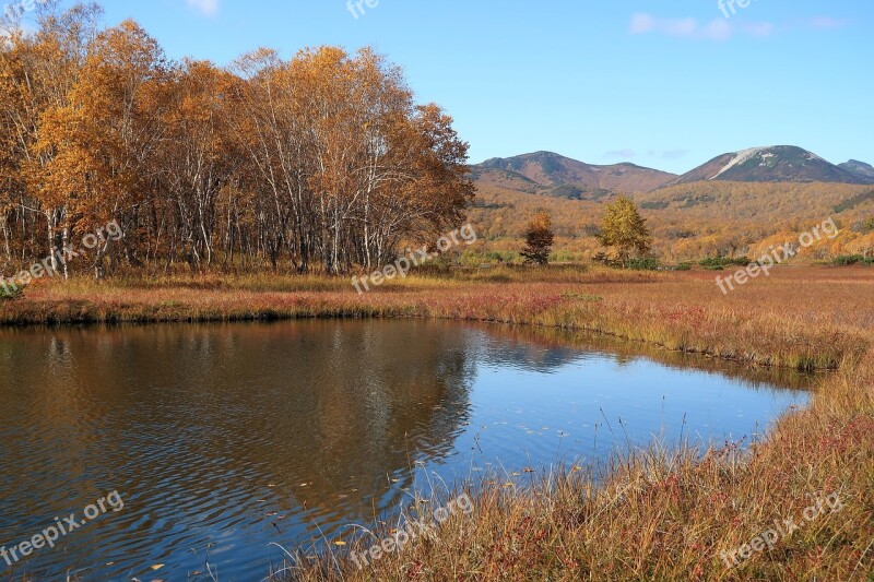 Autumn Lake Forest Tundra Swamp