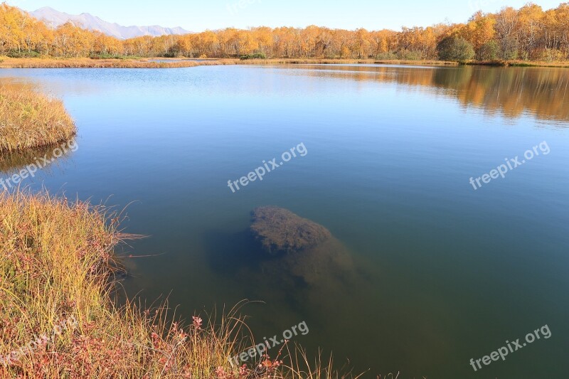 Autumn Lake Forest Tundra Swamp