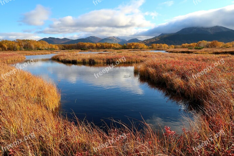 Autumn Lake Forest Tundra Swamp