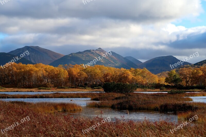 Autumn Lake Forest Tundra Swamp