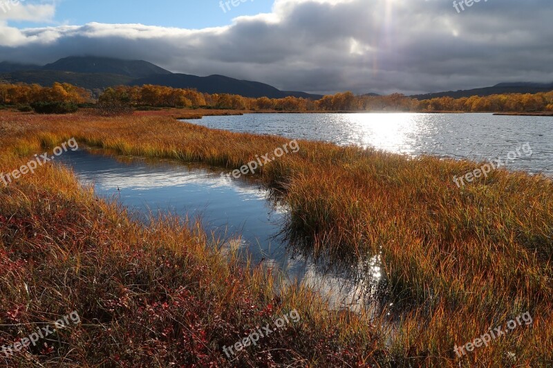 Autumn Lake Forest Tundra Swamp