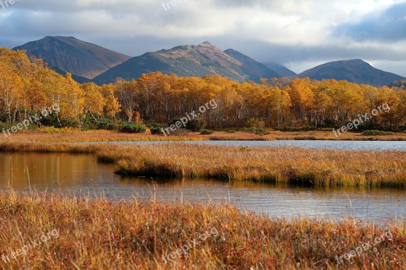 Autumn Lake Forest Tundra Swamp