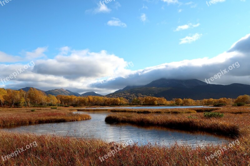 Autumn Lake Forest Tundra Swamp