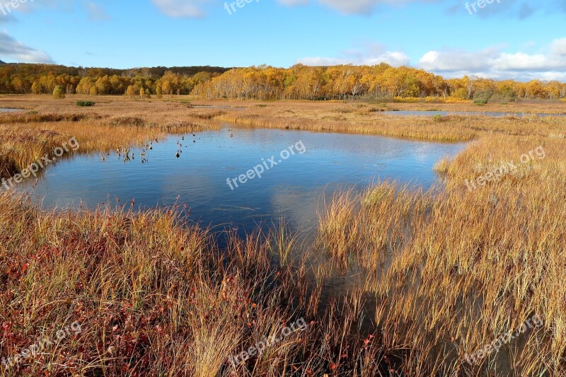 Autumn Lake Forest Tundra Swamp