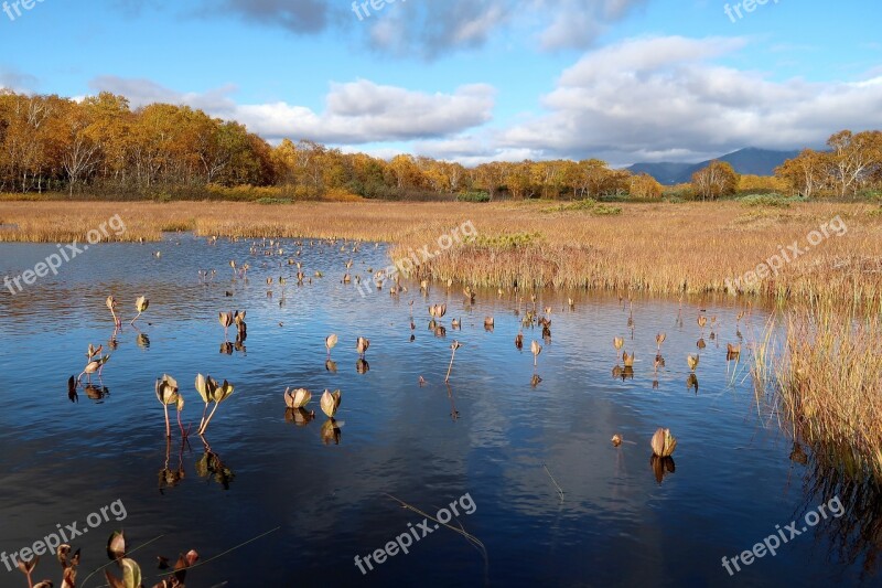 Autumn Lake Forest Tundra Swamp