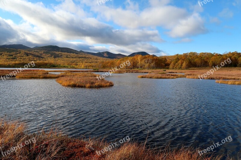 Autumn Lake Forest Tundra Swamp