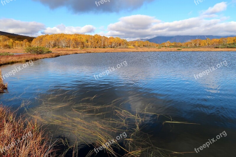 Autumn Lake Forest Tundra Swamp