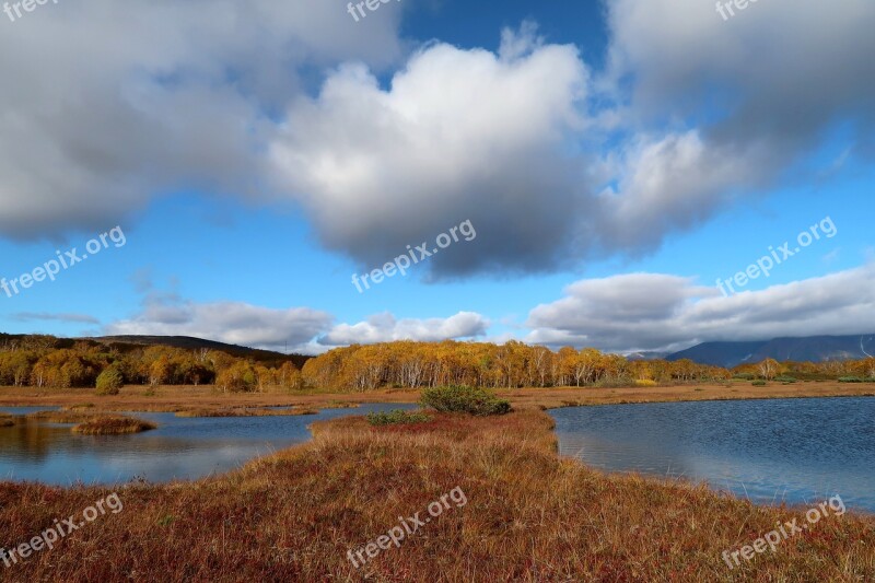 Autumn Lake Forest Tundra Swamp