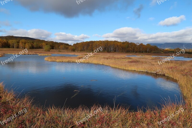 Autumn Lake Forest Tundra Swamp