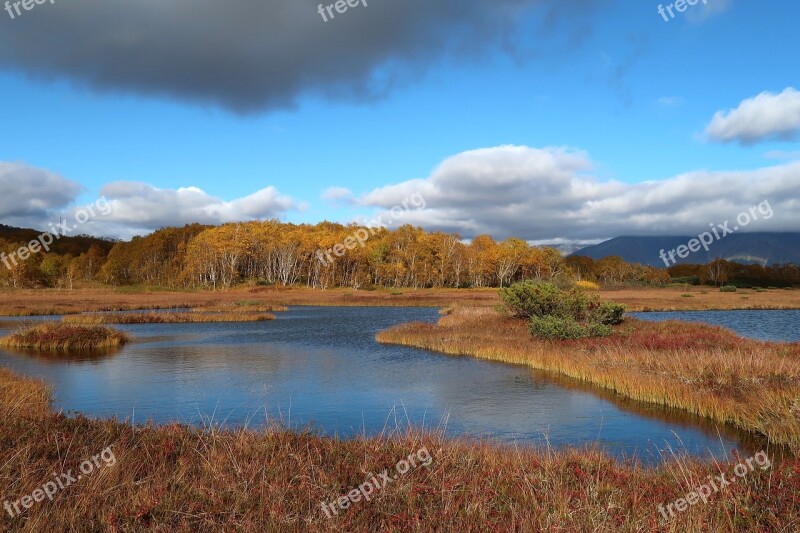 Autumn Lake Forest Tundra Swamp