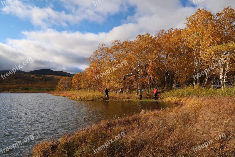 Autumn Lake Forest Tundra Swamp