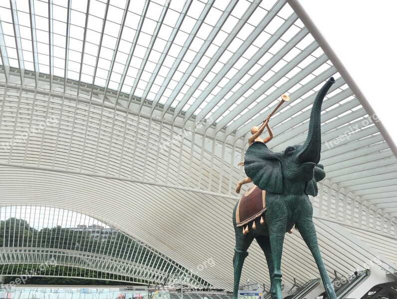 Station Cork Dali Calatrava Architecture