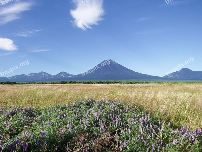 Volcanoes Mountains Field Meadow Flowers