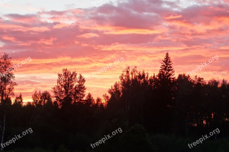 Summer Evening Sunset Himmel Free Photos