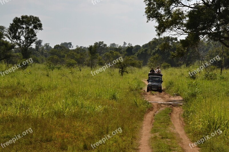 Sri Lanka Safari Jeep Free Photos