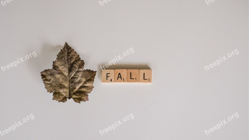 Whitespace From Above Fall Autumn Leaf