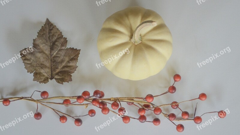 Fall Leaf Pumpkin White Pumpkin Gourds