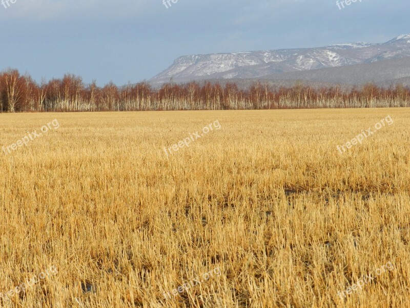 Fields Late Autumn Grass Mountains Forest