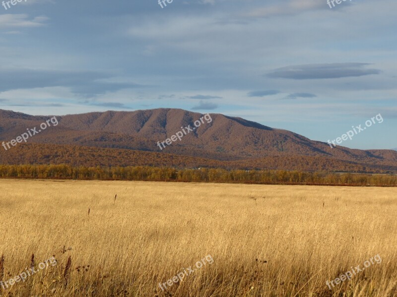 Fields Late Autumn Grass Mountains Forest