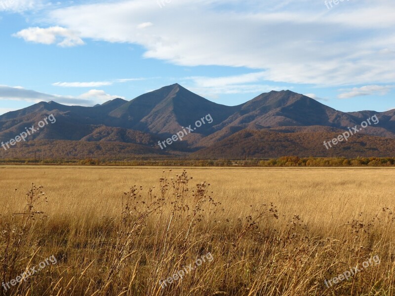 Fields Late Autumn Grass Mountains Forest