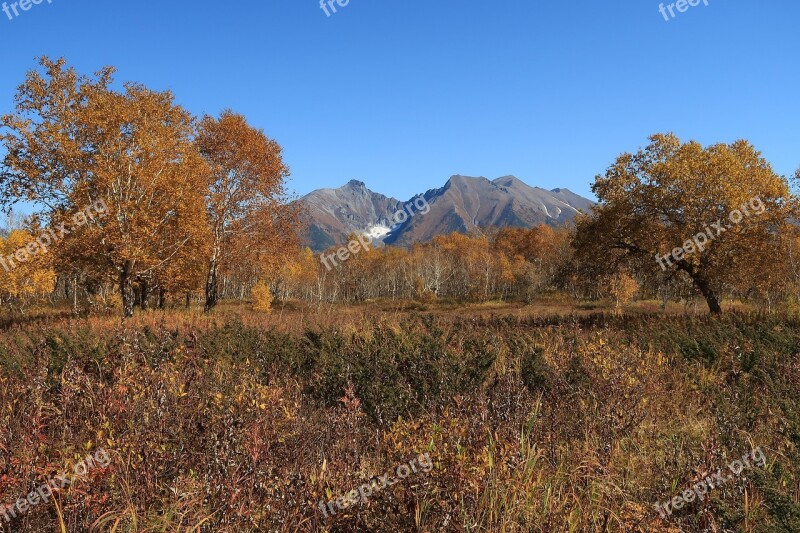 Autumn Mountains Forest Fall Colors Landscape