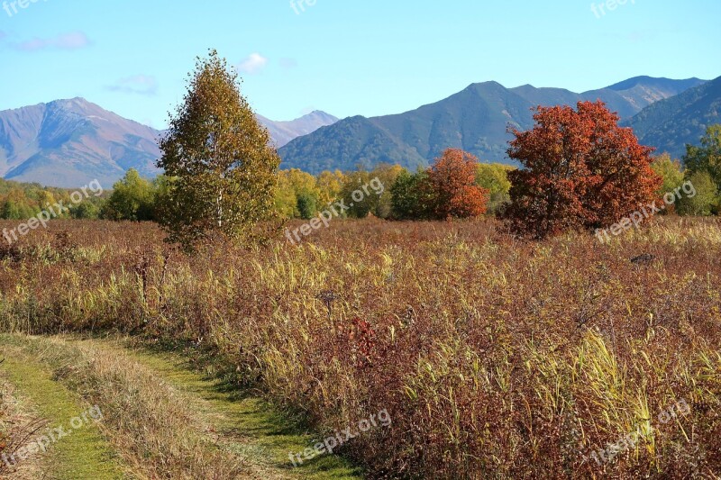 Autumn Mountains Forest Road Fall Colors