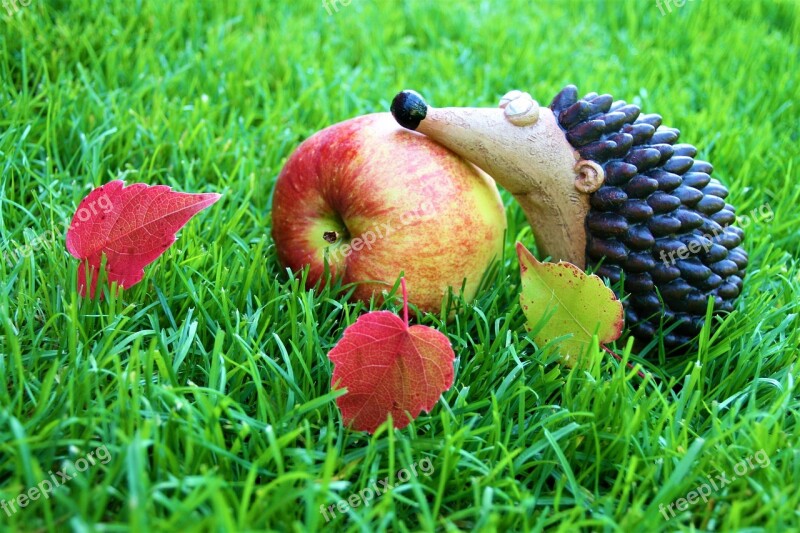 Appetite Decoration Fit Autumn Weather Partly Sunny