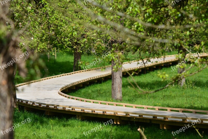 Nature Landscape Walking Path Bl Path