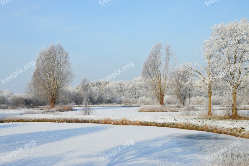 Winter Frost Ponds Trees Snow