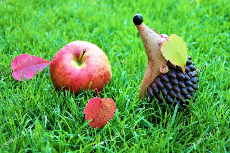 Autumn Weather Optimistic Decoration Fruit Grass