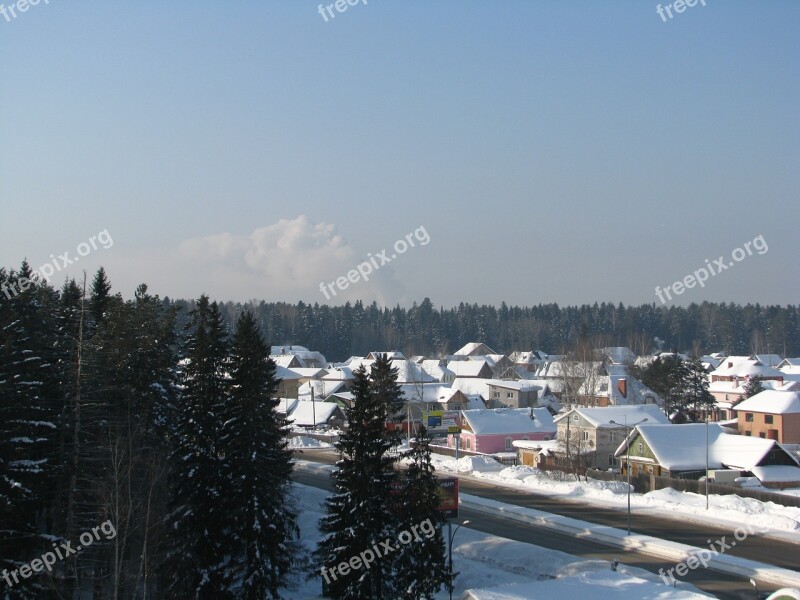 Winter Frost Forest Efi Pine