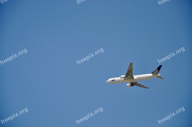 The Plane Sky Flight The Height Of The Cloudless Sky