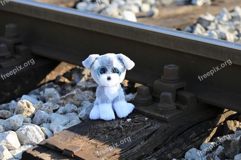 Stop Children Suicide Now Teddy Bear Shocked Teddy Bear Still Waiting For Lost Friend Railway