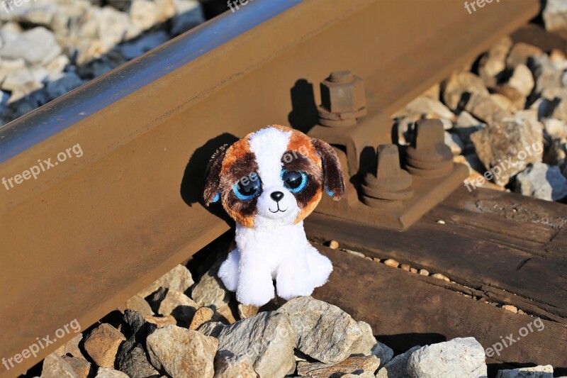 Stop Children Suicide Teddy Bear Waiting Lost Friend Railway Remembering Those Kids