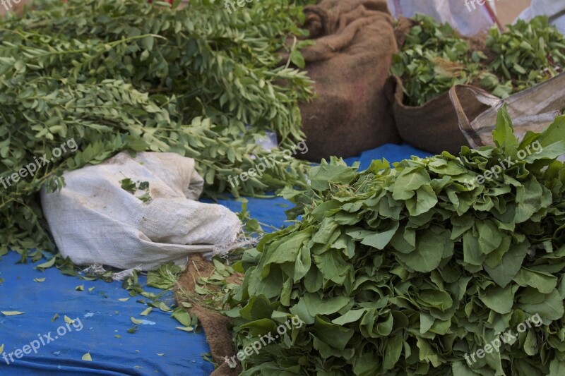 Kari Leaves India Street Market Hyderabad Kondapur