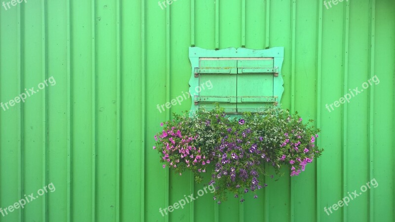 Starnberger See Shutter Green Flowers Closed