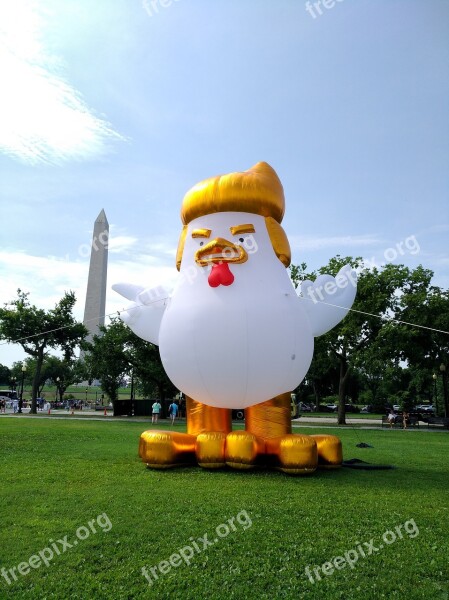 Usa Washington District Of Columbia Donny The Chicken Donald Trump