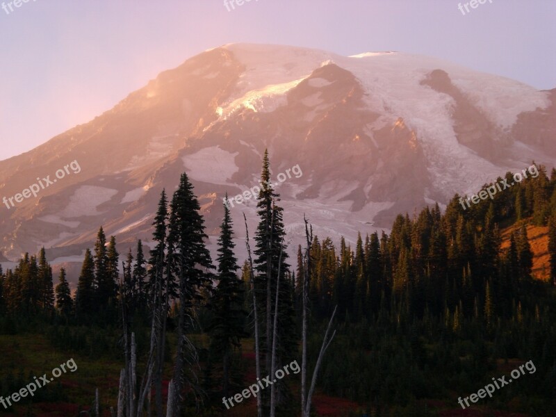 Mt Rainier Washington Sunset Trees Snow