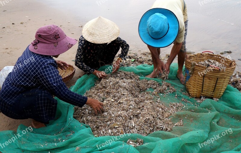 People The Fishing Village Life Vietnam Free Photos