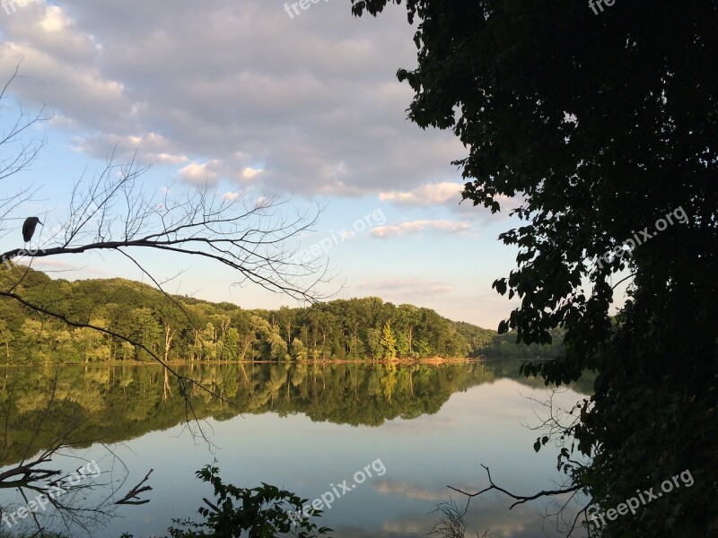 Radnor Lake Lake Tranquil Trail Nature