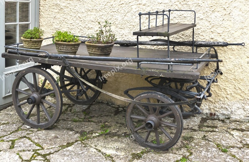 Horse Carts Cart Horse Drawn Carriage Transport Dare