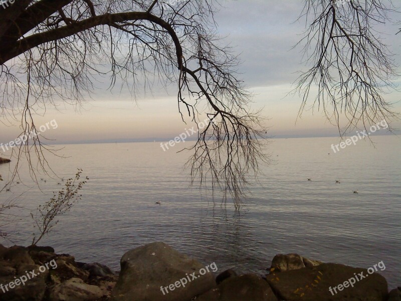 Autumn Lake November Beach The Silence