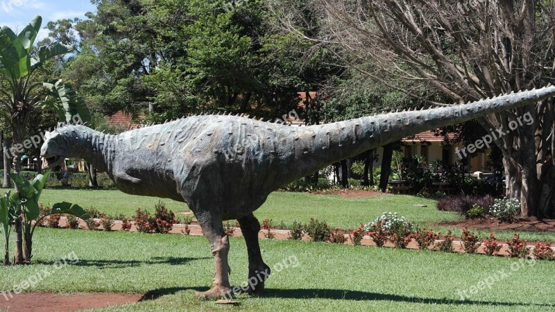 Dinosaur Park Green Nature Green Grass