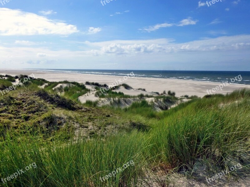 Dune Landscape Borkum Island Nature North Sea