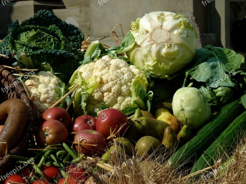 Thanksgiving Pumpkins Vegetables Harvest Pumpkin