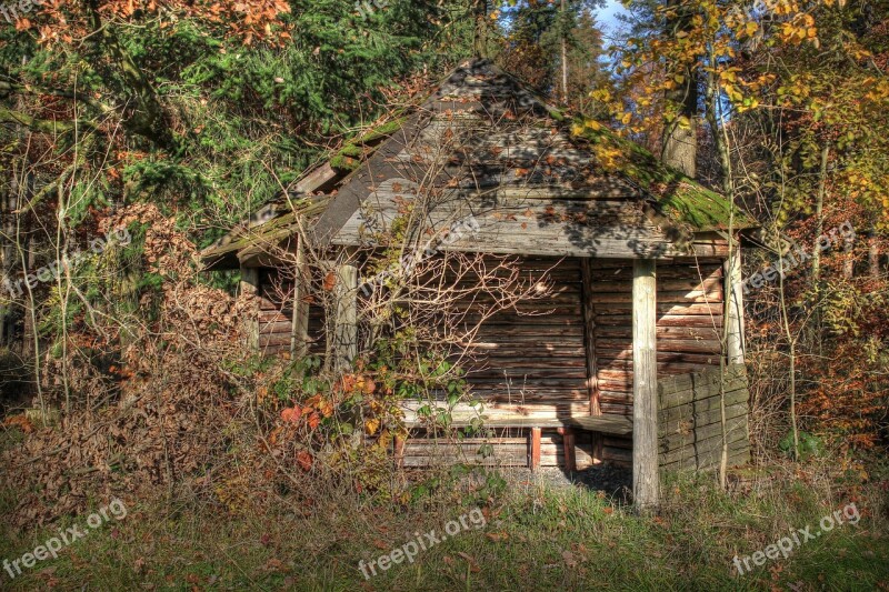 Hut Forest Lapsed Nature Wood