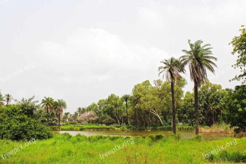 Tropical Landscape Africa Nature Lake Idyllic